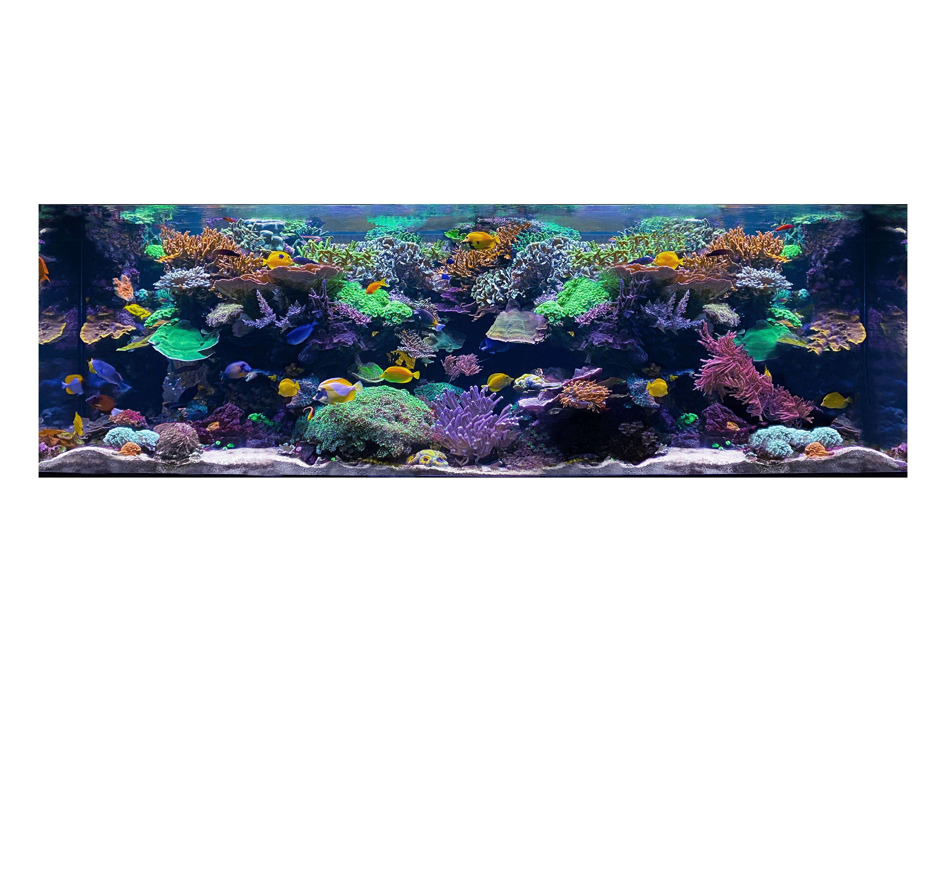 Overlay Image