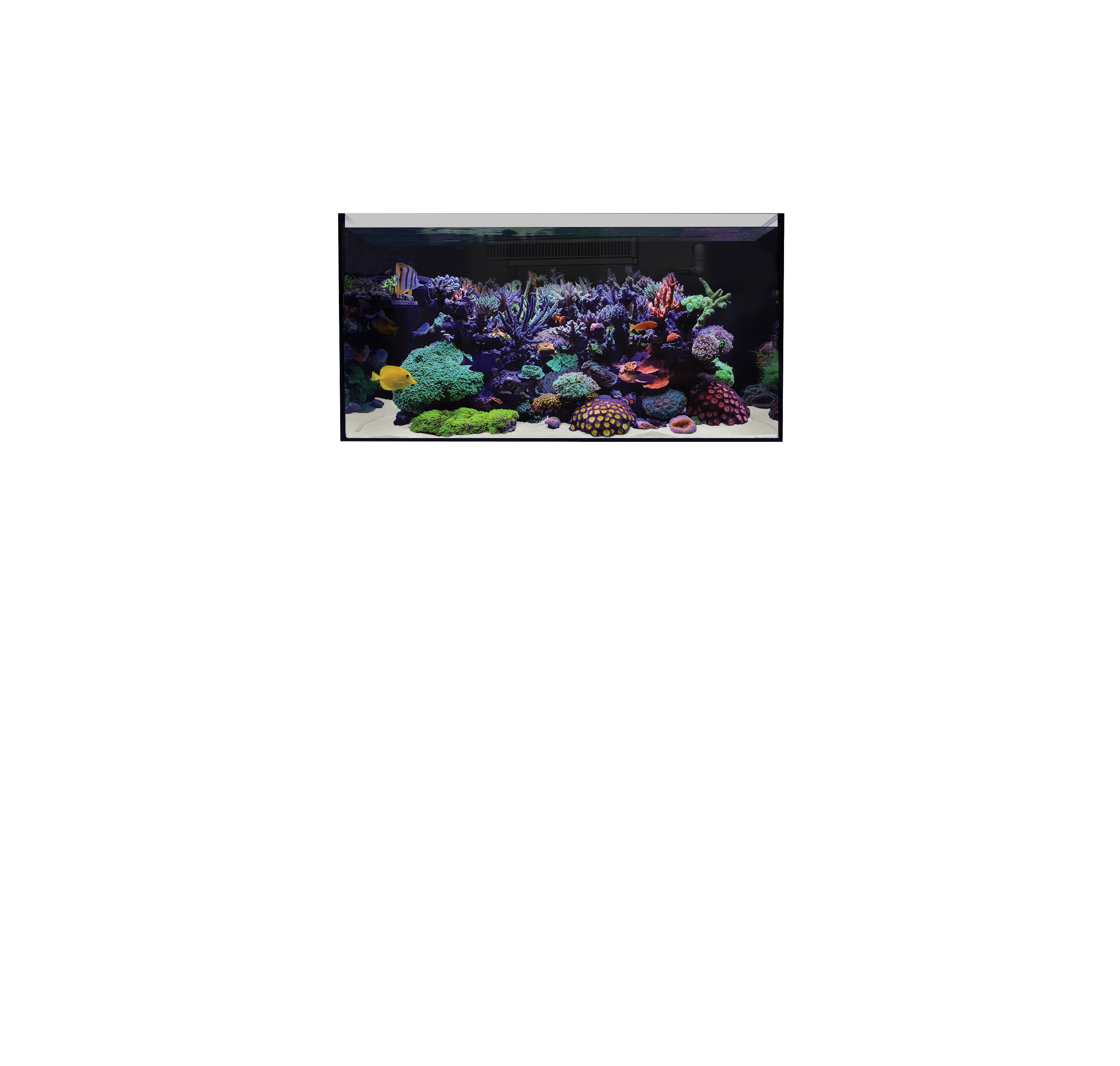 Overlay Image