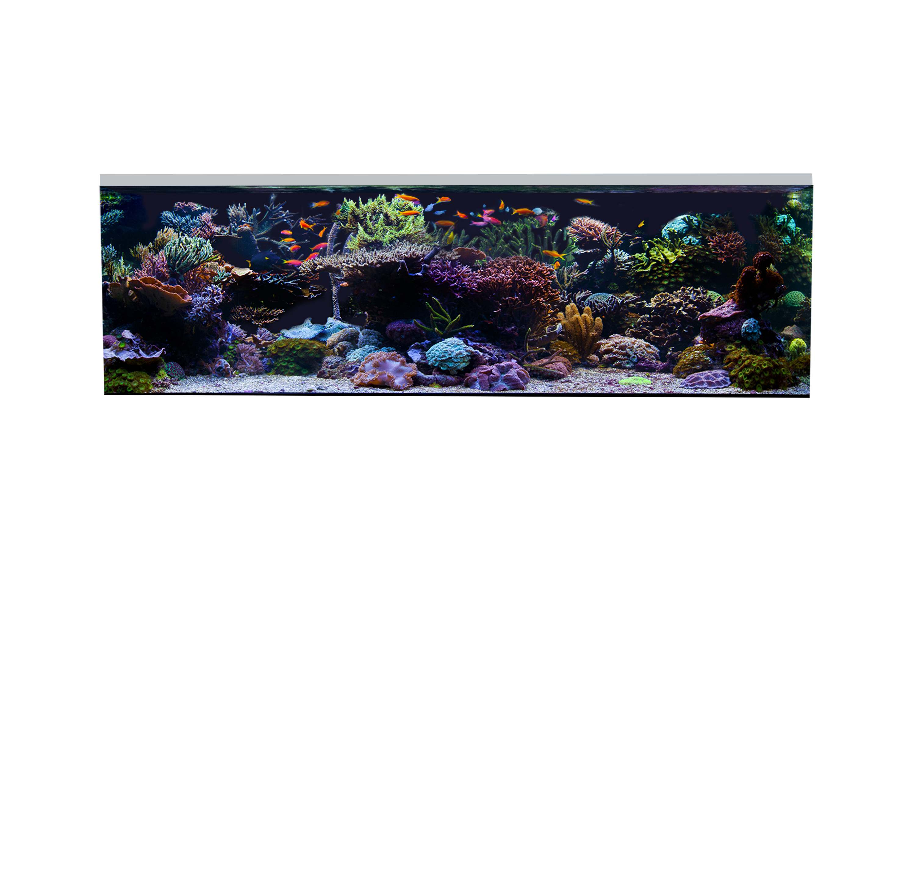 Overlay Image