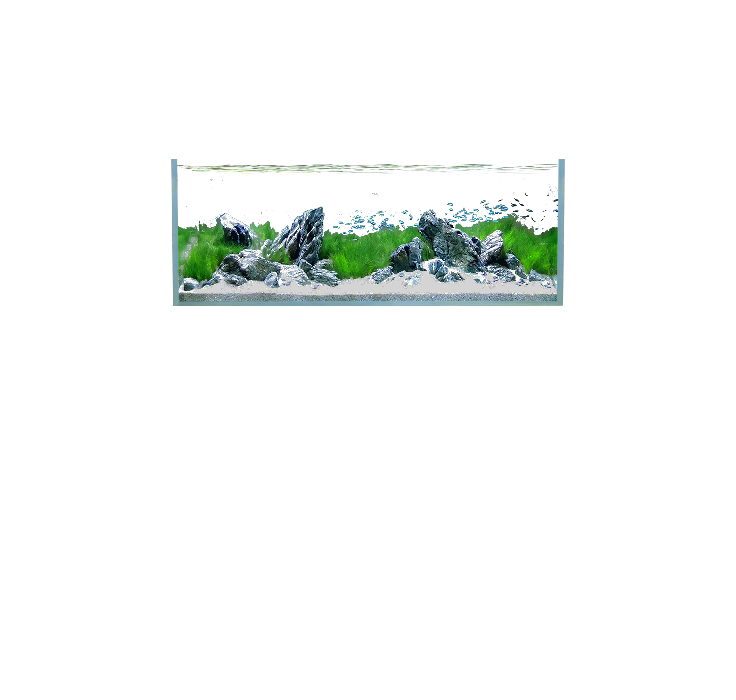 Overlay Image