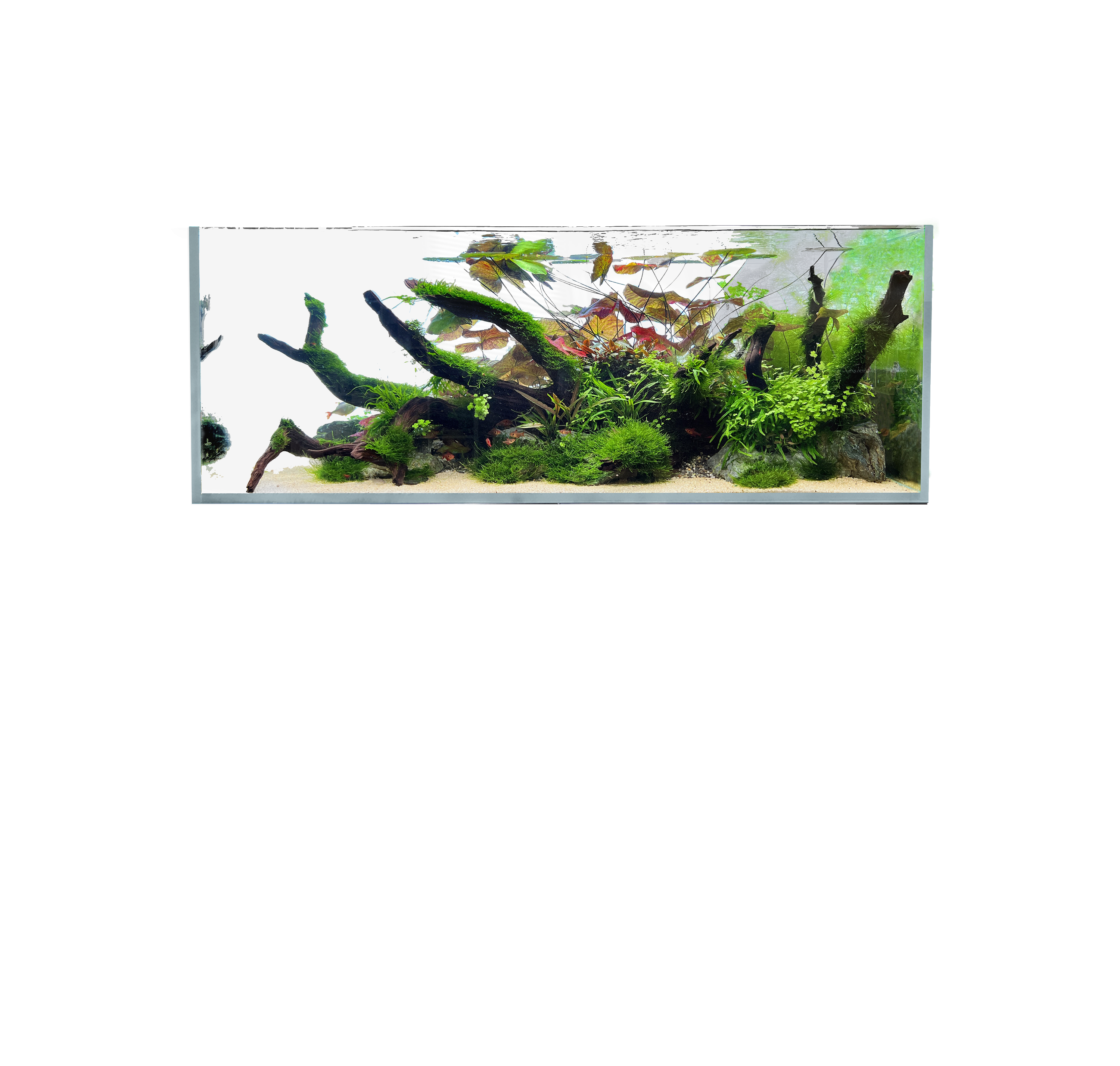 Overlay Image