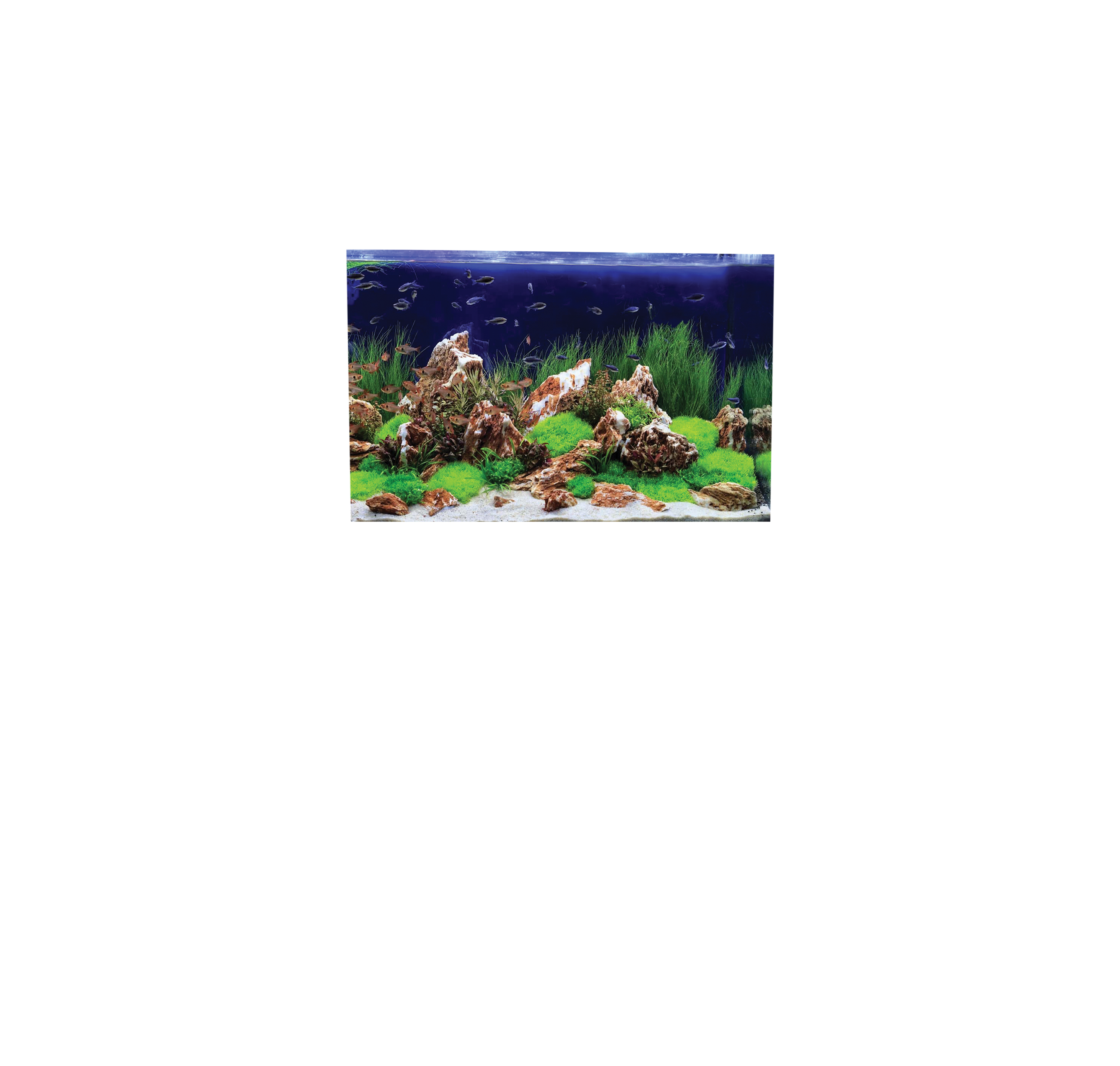 Overlay Image